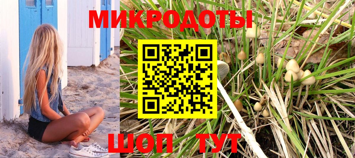 Славгород  Галлюциногенные грибы Psilocybine cubensis  Вход с VPN 