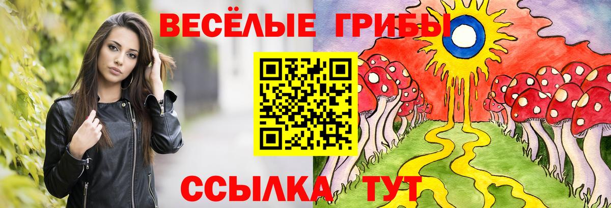 Псилоцибиновые грибы Psilocybine cubensis Славгород